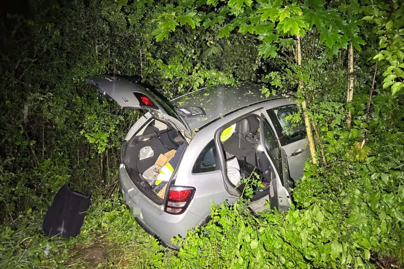 Rheinfelden AG – Auto landet nach Irrfahrt im Gebüsch
