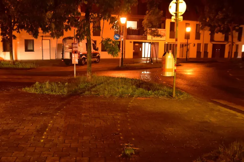 Wien – Drogenlenker fährt Passantin in Grünanlage an
