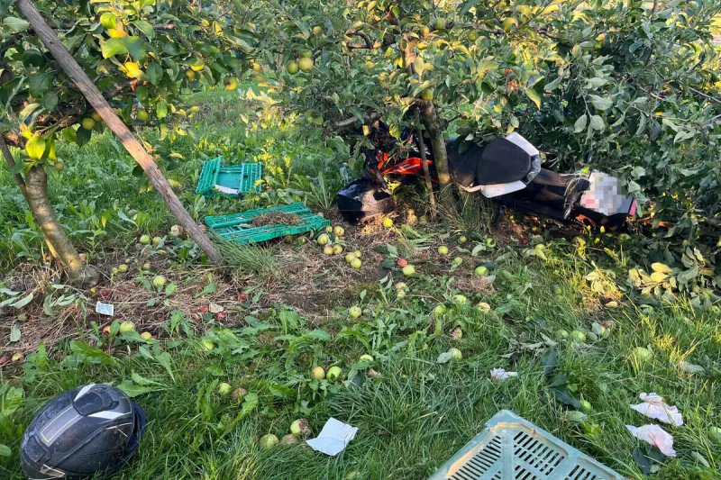 Engishofen TG - Motorradfahrer landet bei Unfall in Obstanlage