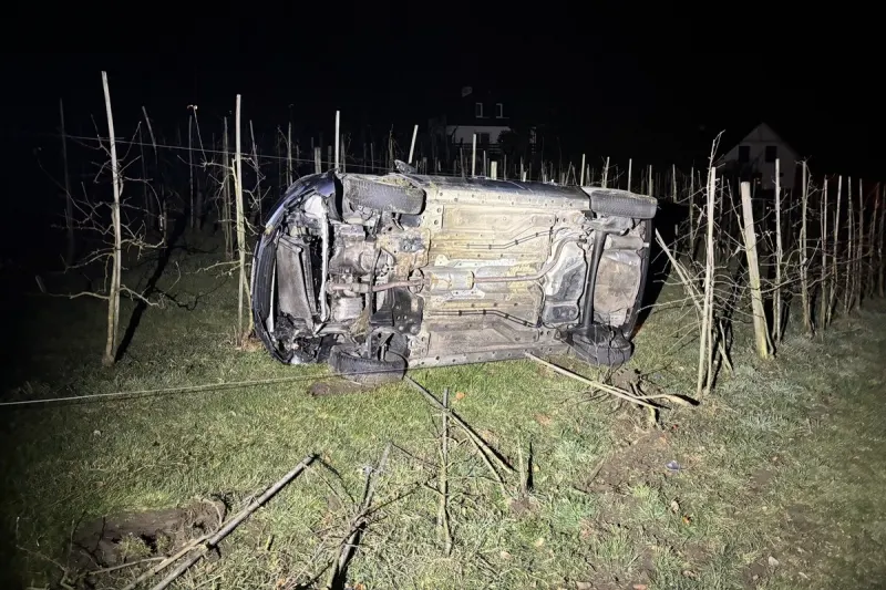 Warth TG – Junglenker verursacht Unfall