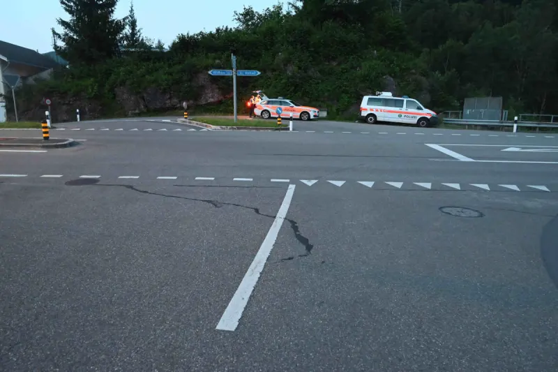Krummenau SG – Unfall zwischen alkoholisiertem Autofahrer und Kuh