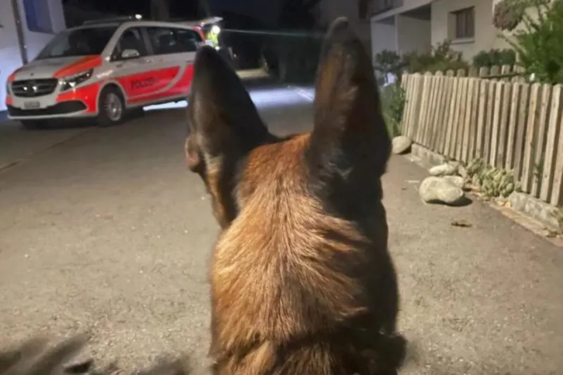 Turgi AG – Polizeihund „Naruk“ spürt Diebe auf
