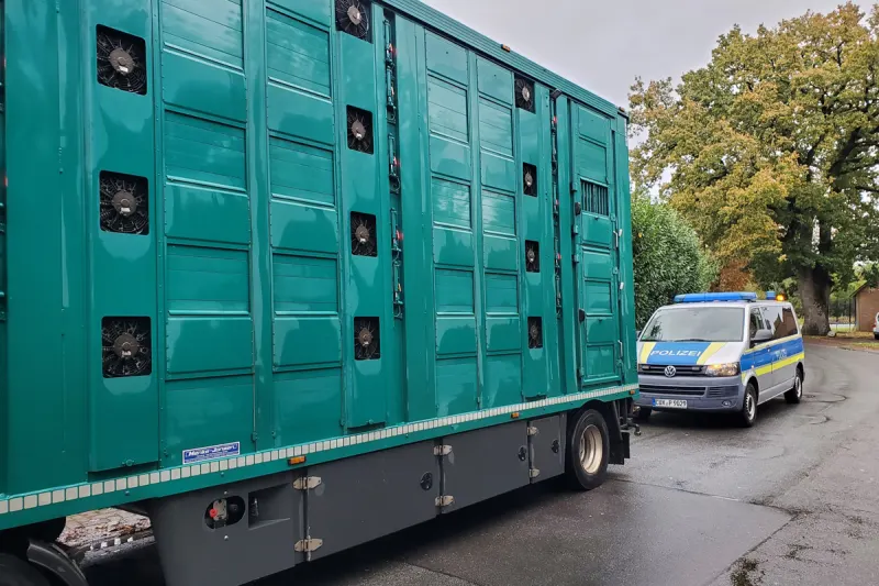 A27 Cuxhaven NI – Verstöße bei Tiertransporten festgestellt