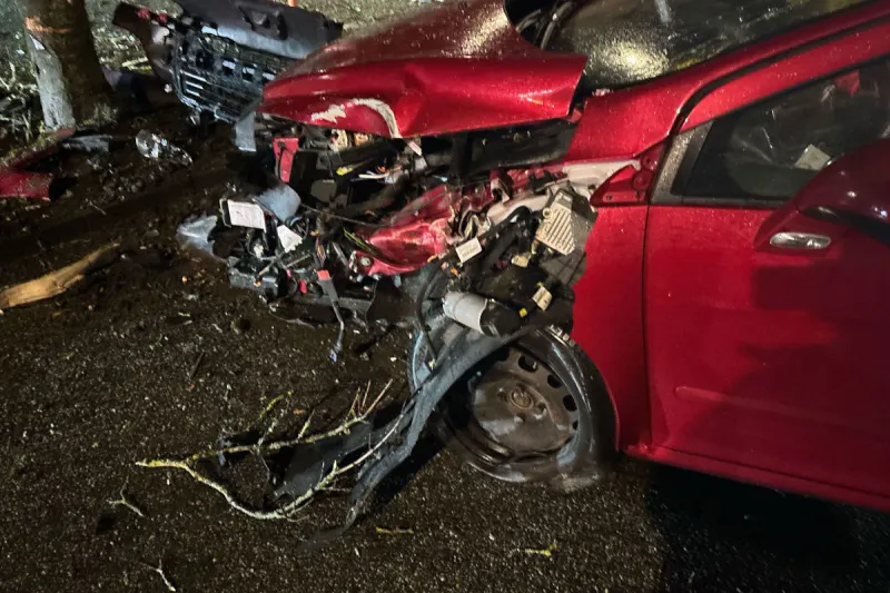 Unfall in Zuchwil SO – Auto prallt gegen Baum