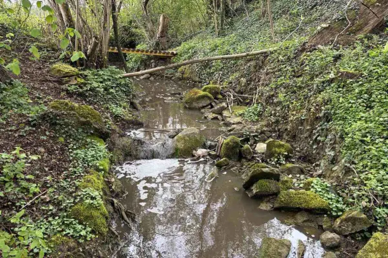 Fischsterben in Roggwil TG 