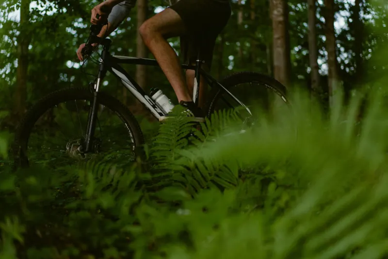 Scheibbs NÖ – Mountainbiker stürzt in Fluss