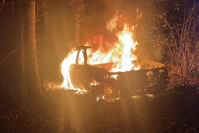 Gachnang TG – Auto rollt rückwärts in Wald und fängt an zu brennen - Lenker alkoholisiert