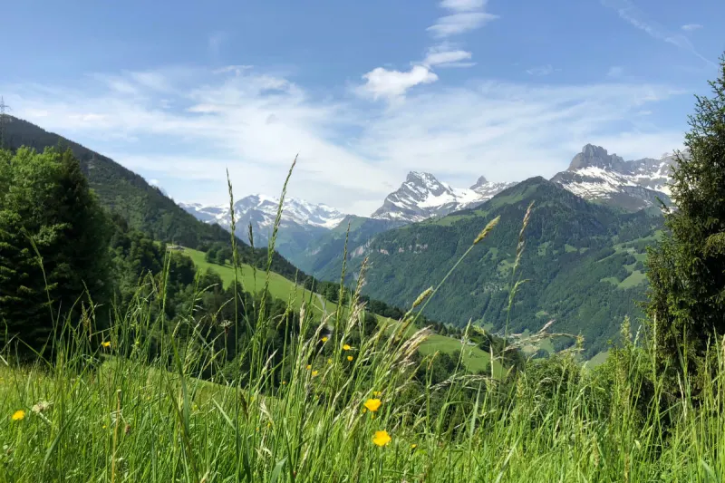 Mattersberg - Große Suchaktion nach Abgängigem