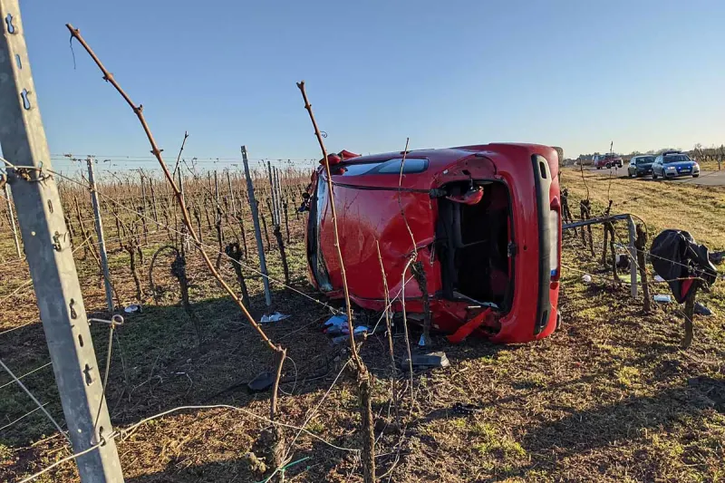 Niederkirchen - Fahrt endet im Weinberg