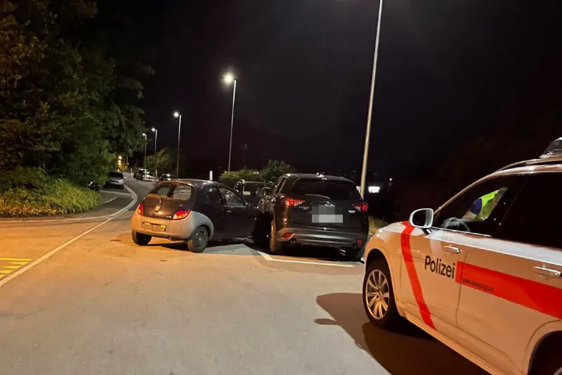 Frauenfeld TG - Alkoholisiert verunfallt - Führerschein weg