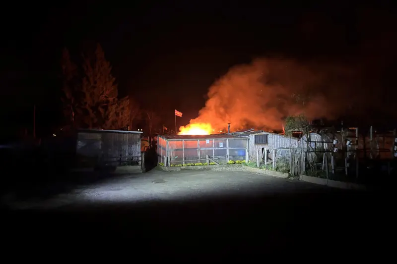 Strengelbach AG – Räucherofen löst Brand in Gartenhäuschen aus