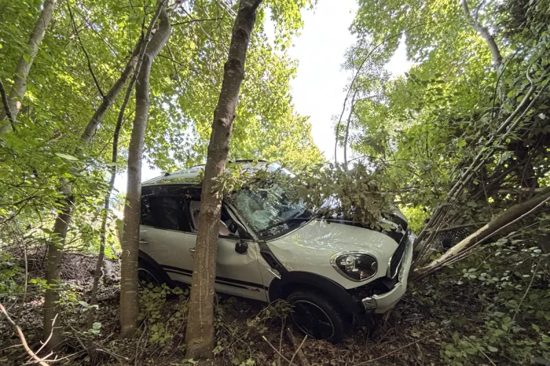 Unfall in Mammern TG – Autofahrer stürzt nach Sekundenschlaf in Waldstück