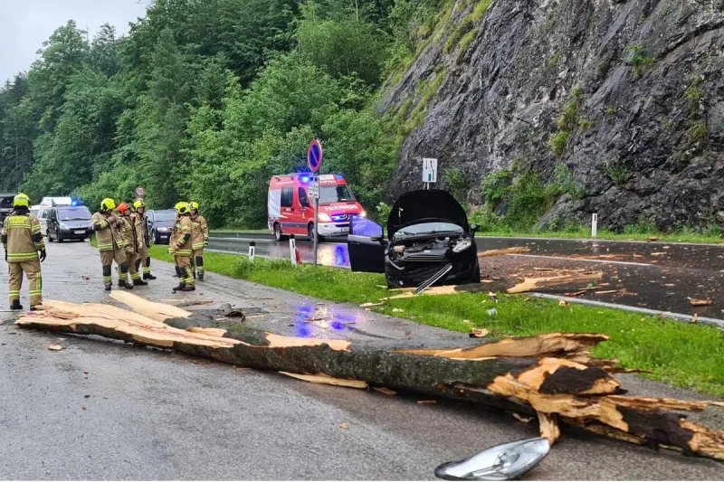 Gmunden - Baumstamm fällt aus 30 Meter Höhe auf Straße