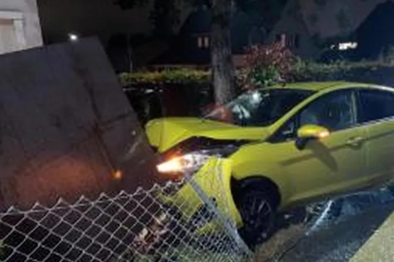 Allschwil BL – Selbstunfall endet mit Totalschaden
