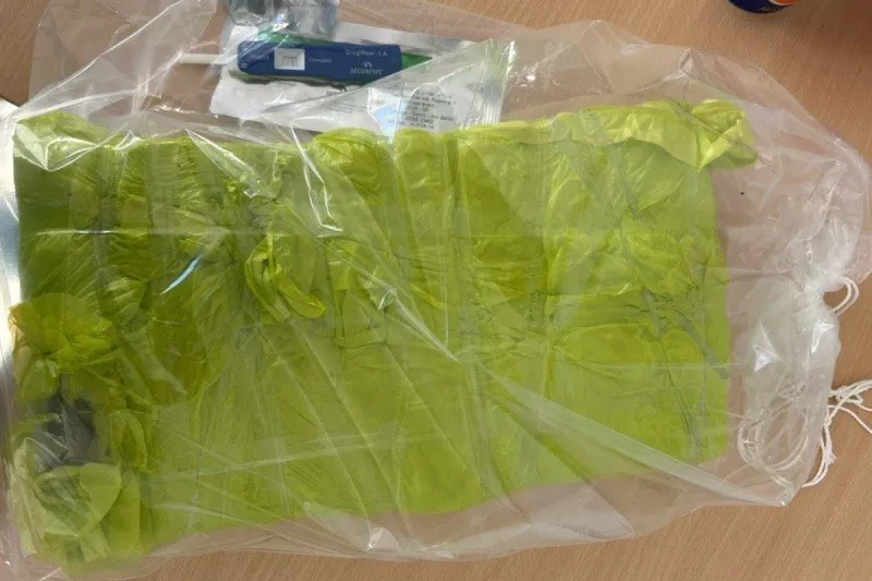 Rostock – 3 Kilogramm Haschisch im Kleinbus gefunden