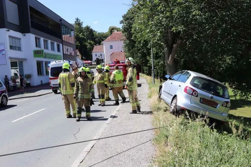 Güssing - 73-Jähriger von der Straße gestossen und gegen Baum gekracht