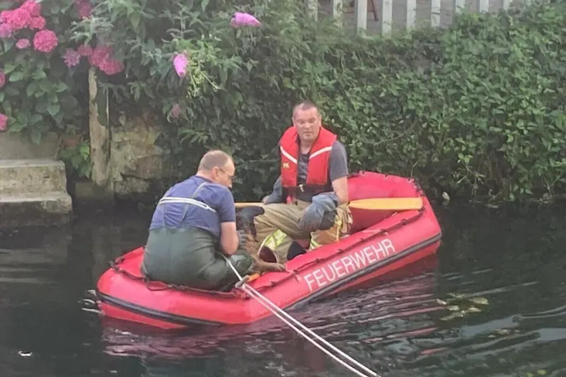 Kleve - Feuerwehr rettet Hund aus dem Kermisdahl 