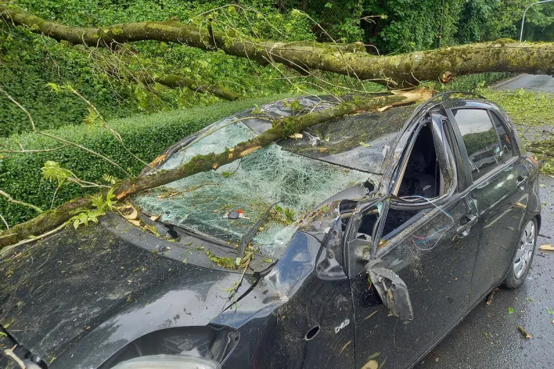 Herdecke – Baum stürzt auf Pkw und verletzt zwei Menschen