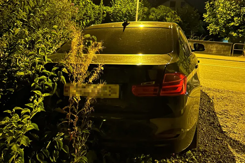 Bürglen TG - Fahrunfähig Unfall verursacht - Führerschein weg