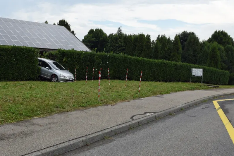 Kurioser Verkehrsunfall in Mauensee LU - Lernfahrer bleibt in Hecke stecken! Lernausweis eingezogen