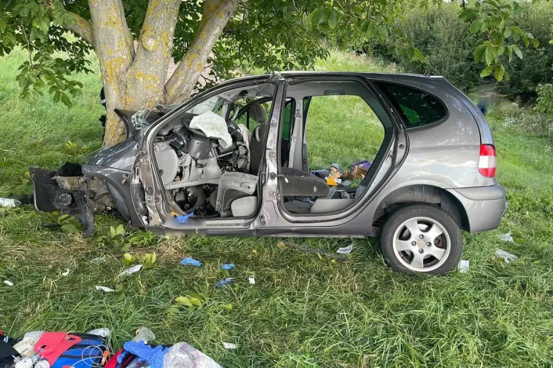 Mörbisch - 28-jährige Fahrzeuglenker kracht gegen Baum