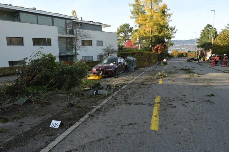 Meilen ZH – Junge Raser nach Unfall festgenommen