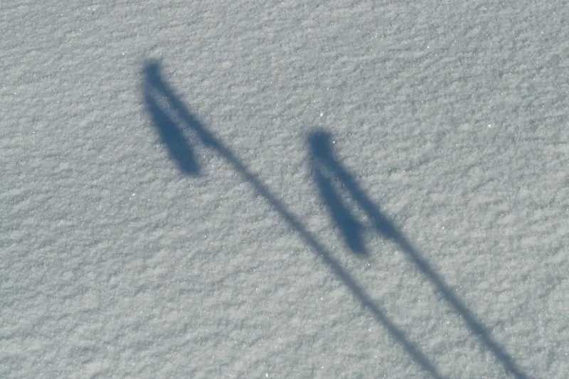 Feldberg - Schneeschuhwanderin tödlich verunglückt