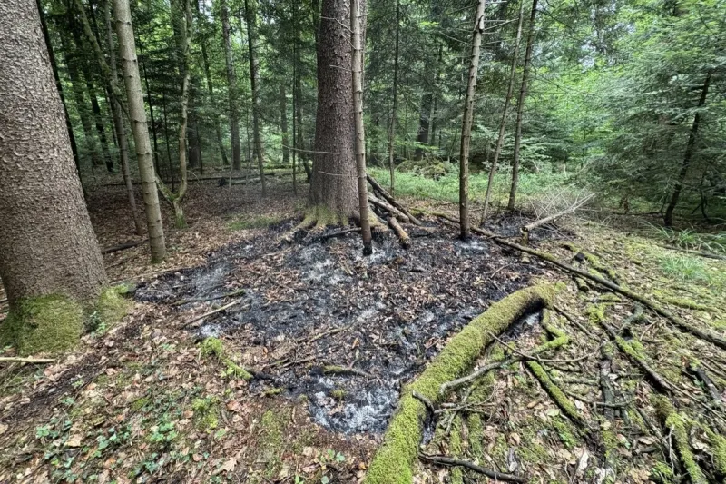 Hefenhofen TG – Zwei Personen nach Brand geständig 