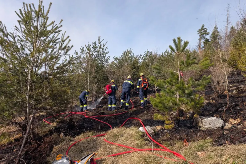 Rinnegg – Brand nach Picknick im Waldgebiet am Novystein