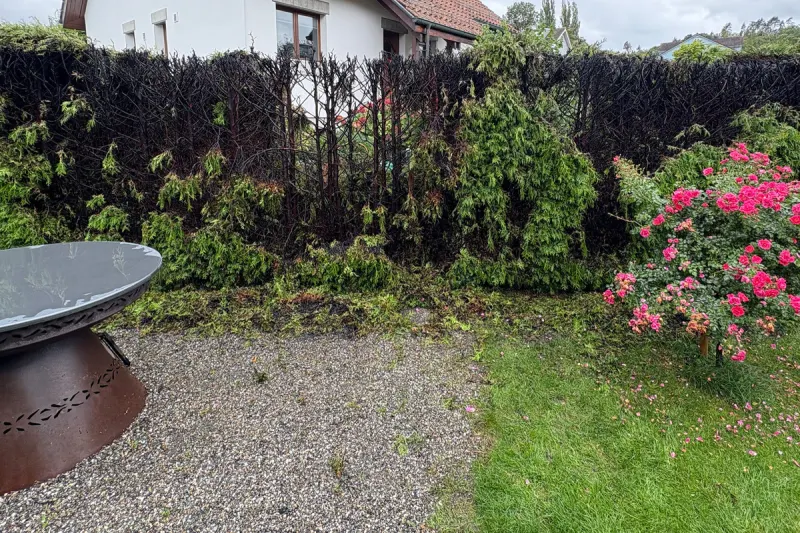 Roggwil TG – Hecke bei Abflammarbeiten in Brand geraten