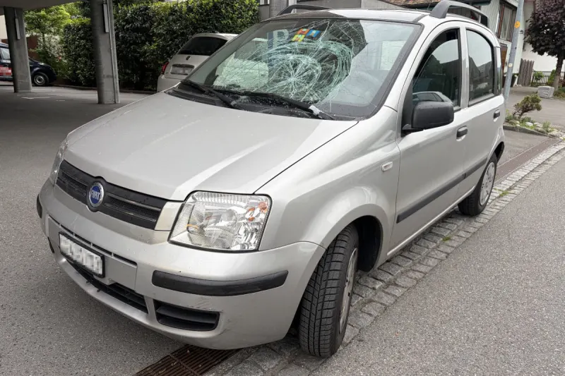 Widnau SG – Fussgänger mit Blindenhund von Auto erfasst