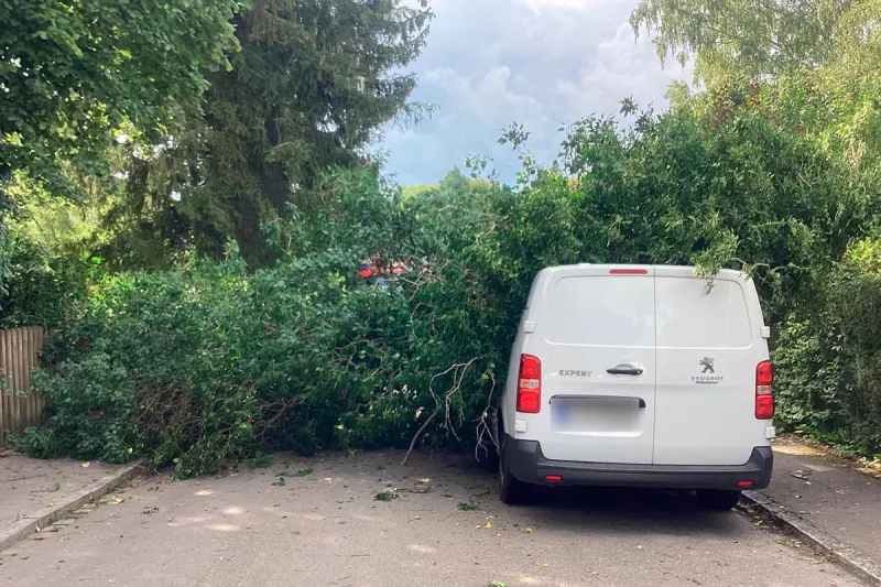 München BY – Baum stürzt auf Transporter