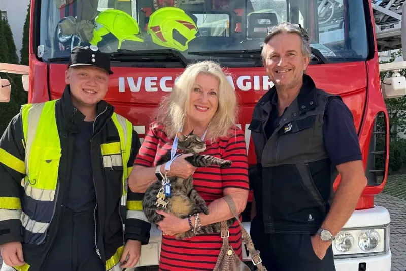 Villach K – Feuerwehr rettet Kater vom Dach