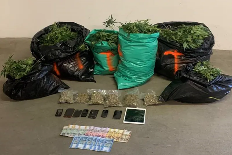 Hardegg - Cannabisindooranlage mit insgesamt 530 Cannabispflanzen sichergestellt