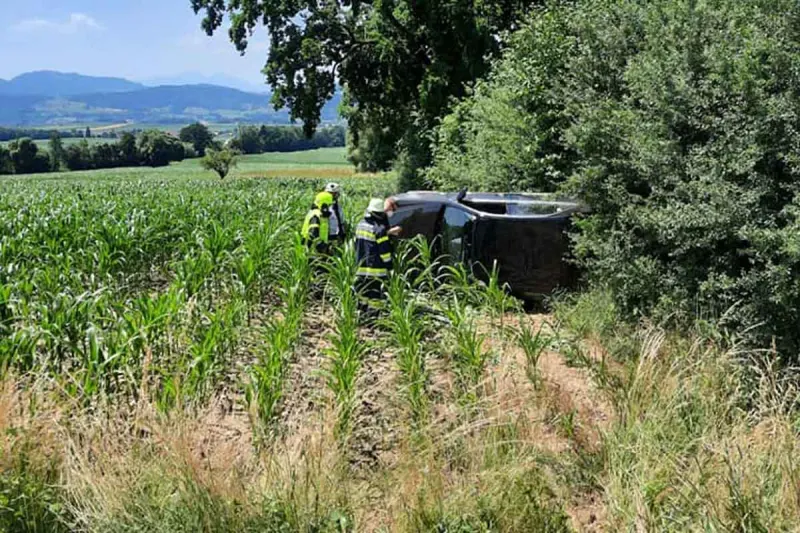 Paierdorf - 81-Jährige durchschlug Baumgruppe und landet auf Maisacker