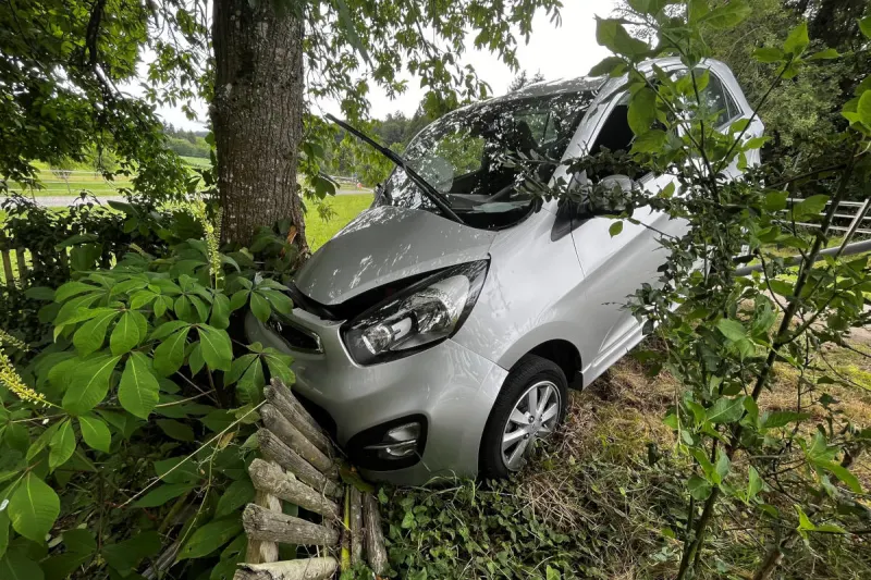 Diessenhofen TG – Autofahrerin von Strasse abgekommen und Baum geprallt   