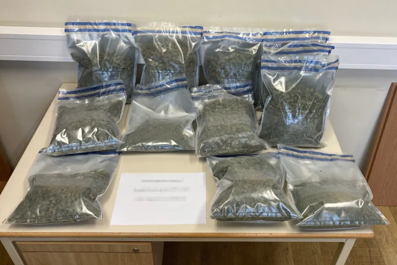  Bezirk Melk - Cannabisindooranlage gefunden 