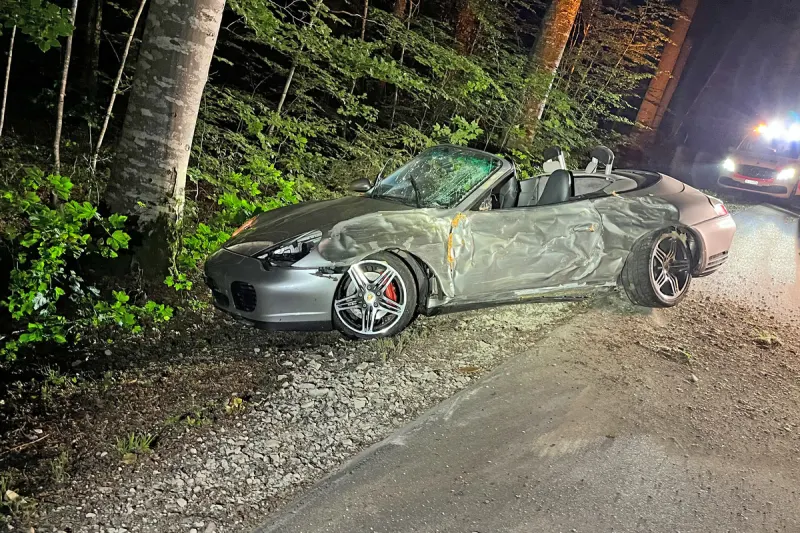 Berlingen TG - Unter Alkoholeinfluss gegen einen Baum geprallt 