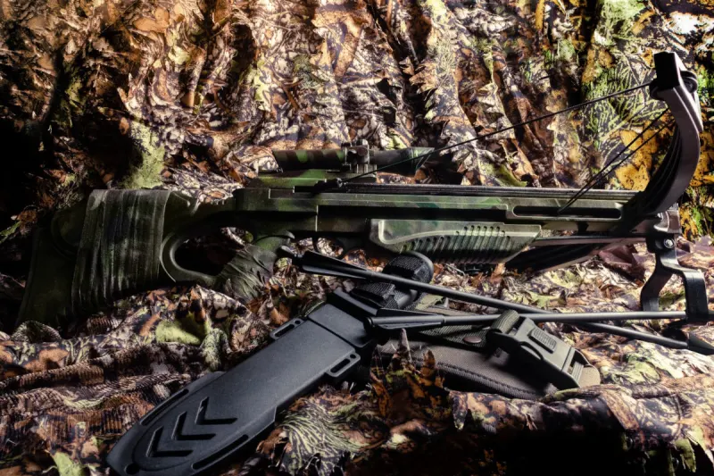 Bordesholm – Mordversuch mit Armbrust