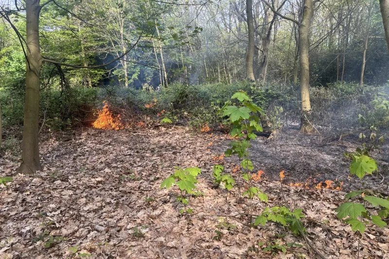 Vegetationsbrand nimmt Feuerwehr für eine Stunde ein