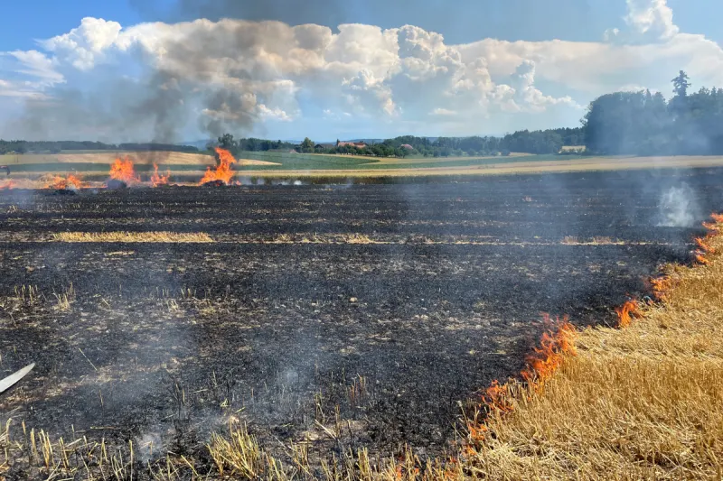 Münsterlingen & Hörhausen TG – Mehrere Brände auf Feldern
