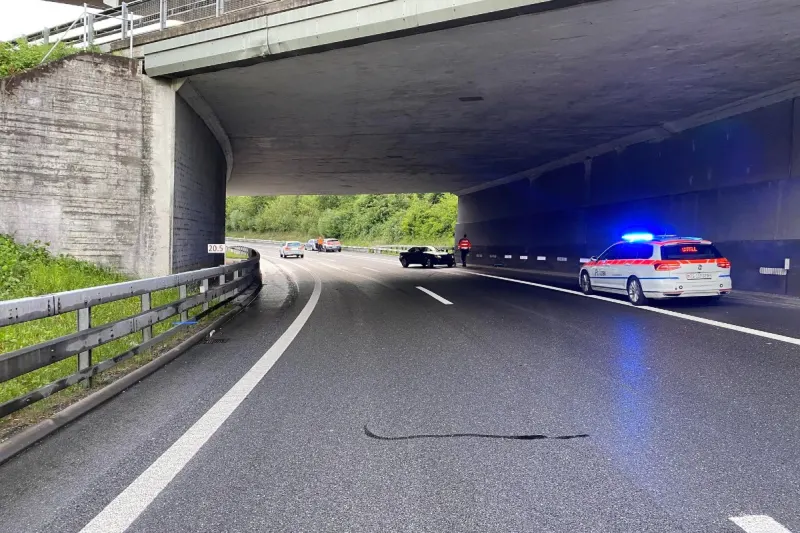 Cham ZG - 20-Jährige verliert auf der Autobahn Kontrolle über Auto
