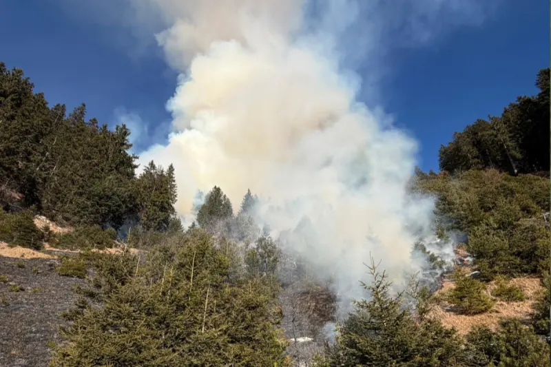 Innsbruck – Böller und Raketen führen zu Waldbrand