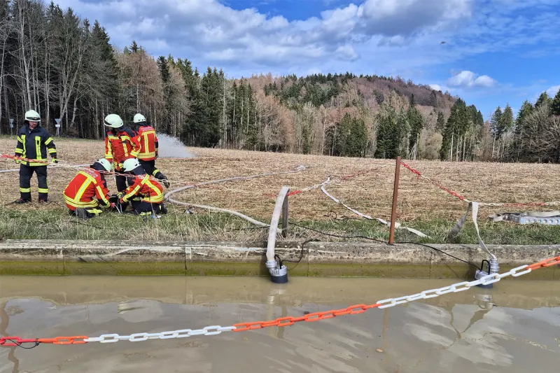 Stockach – Pferd aus Wasserbecken gerettet