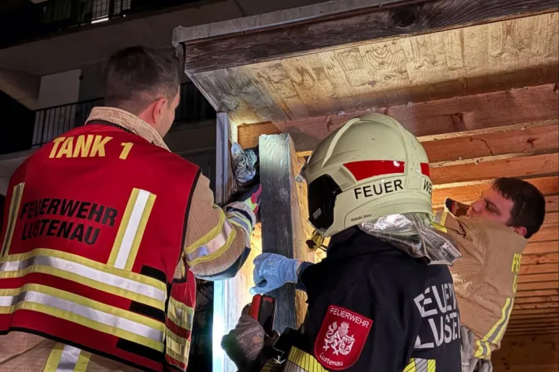 Lustenau – Feuerwehr befreit eingeklemmte Katze