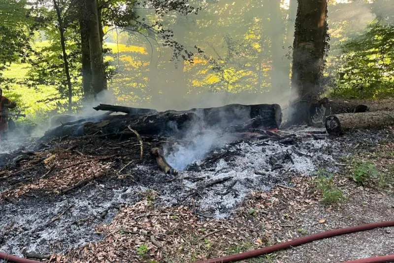 Oberneunforn TG – Waldboden und Bäume geraten in Brand