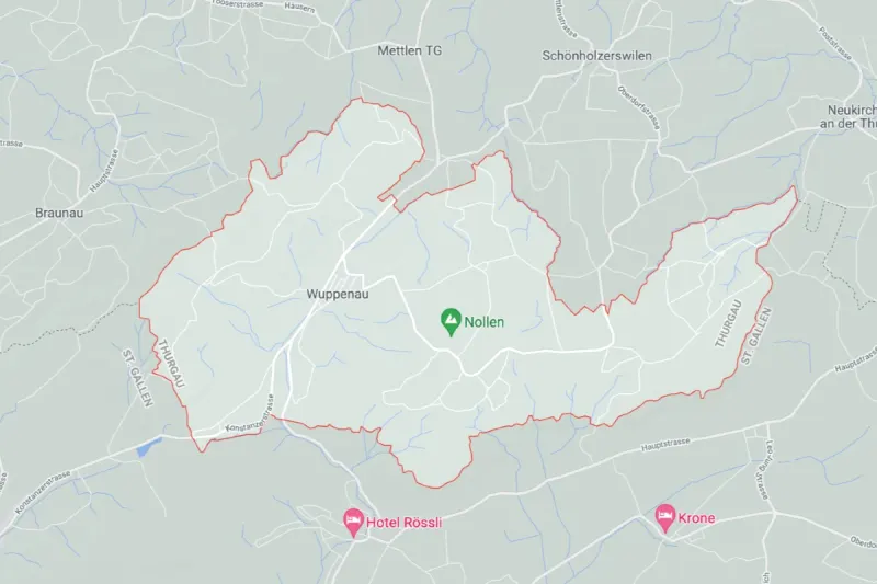 Wuppenau TG - Niemand bei Heckenbrand verletzt