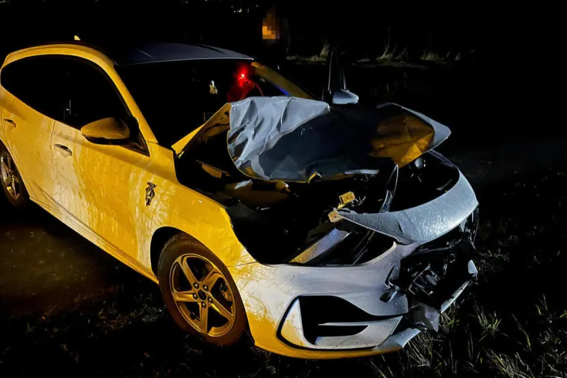 Wildunfall in Bendern FL – Hirsch stirbt