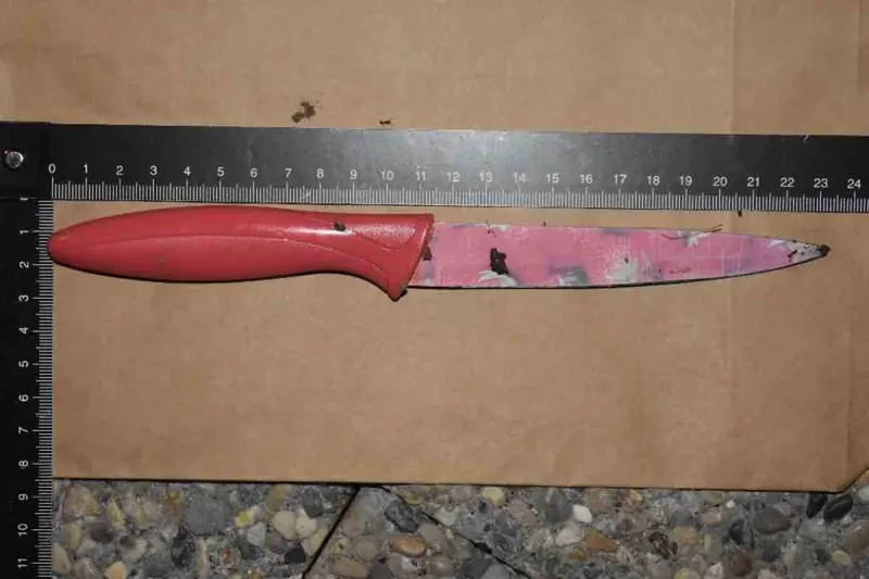 Wien - Mann mit Messer attackiert 