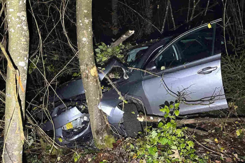 Trimbach SO – Auto prallt bei Unfall in Baum